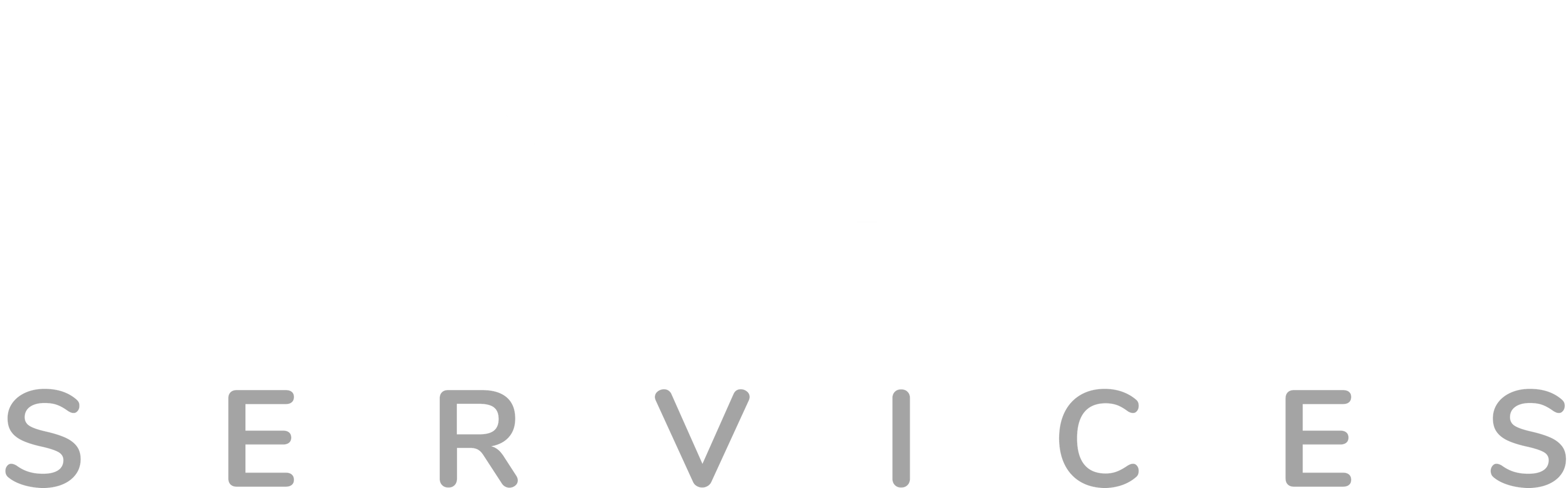 Ancile Services